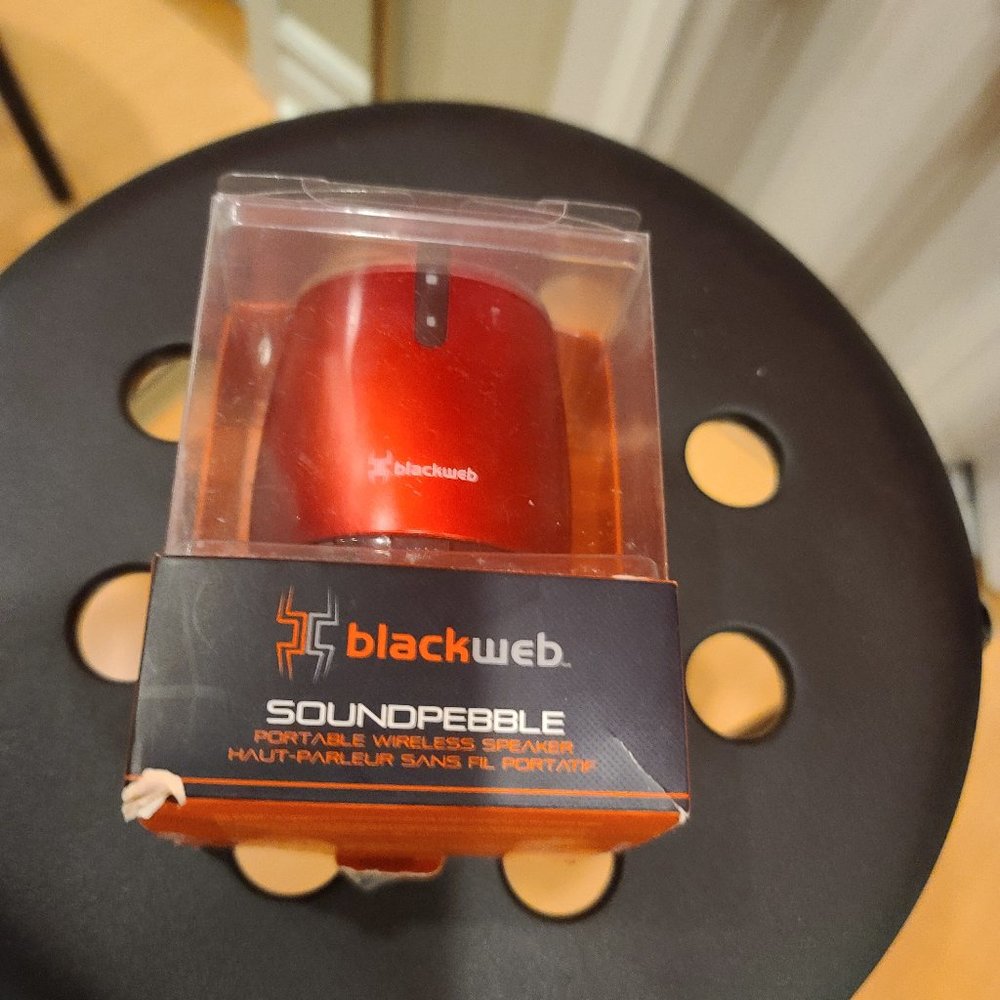 portable wireless speaker